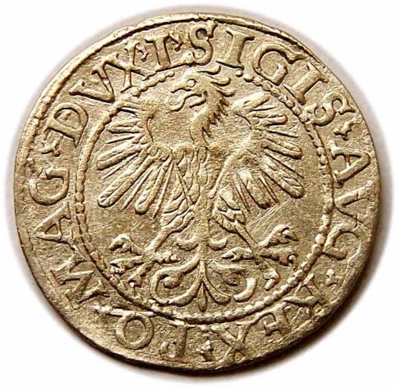 Półgrosz 1560 Zygmunt II August Wilno (2)