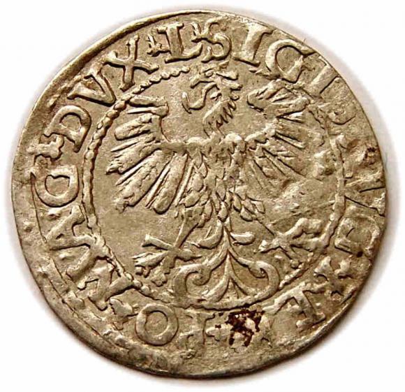 Half groschen 1560 Sigismund II Augustus Vilnius (2)