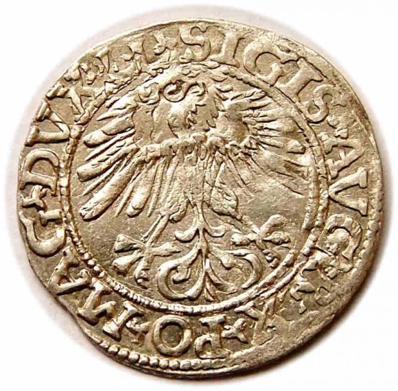 Half groschen 1561 Sigismund II Augustus Vilnius (2)
