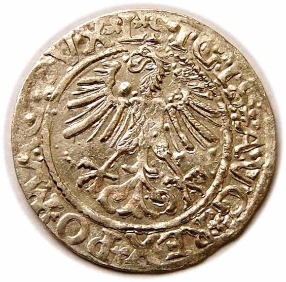Half groschen 1561 Sigismund II Augustus Vilnius (2)