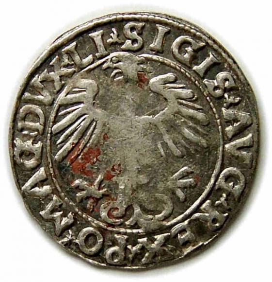 Half groschen 1556 Sigismund II Augustus Vilnius (2)