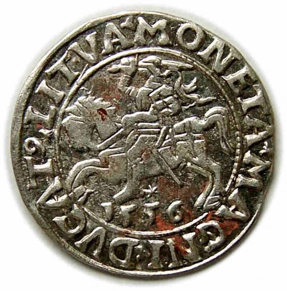 Half groschen 1556 Sigismund II Augustus Vilnius (1)