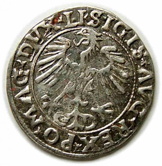 Half groschen 1556 Sigismund II Augustus Vilnius (2)