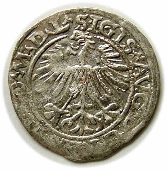 Half groschen 1563 Sigismund II Augustus Vilnius (2)