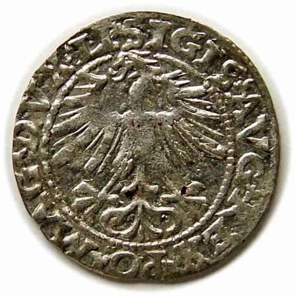 Half groschen 1563 Sigismund II Augustus Vilnius (2)