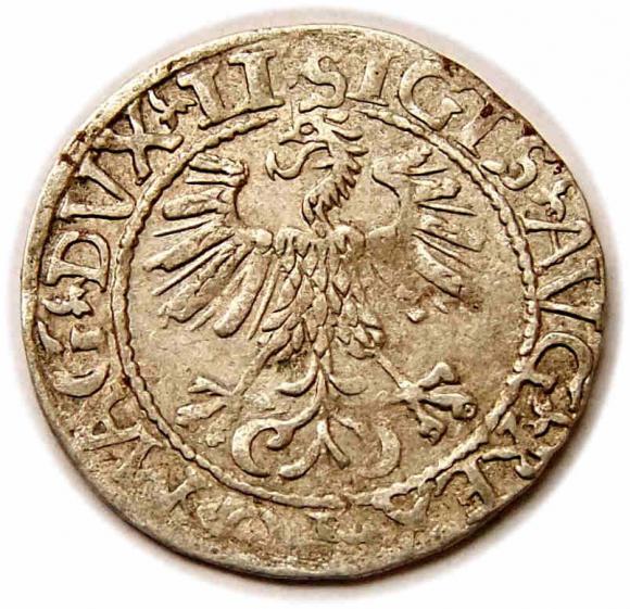 Half groschen 1561 Sigismund II Augustus Vilnius (2)