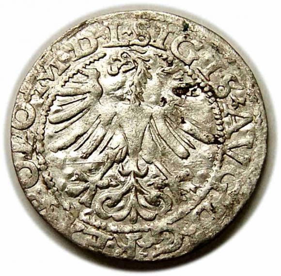 Half groschen 1565 Sigismund II Augustus Vilnius (2)