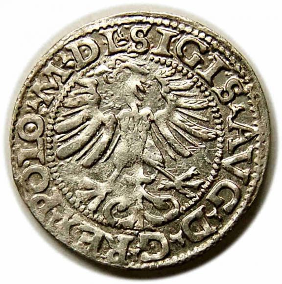 Half groschen 1565 Sigismund II Augustus Vilnius (2)