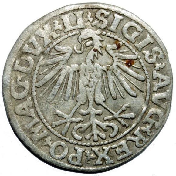Half groschen 1549 Sigismund II Augustus Vilnius (2)