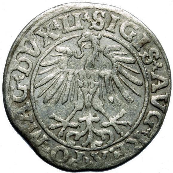 Half groschen 1551 Sigismund II Augustus Vilnius (2)