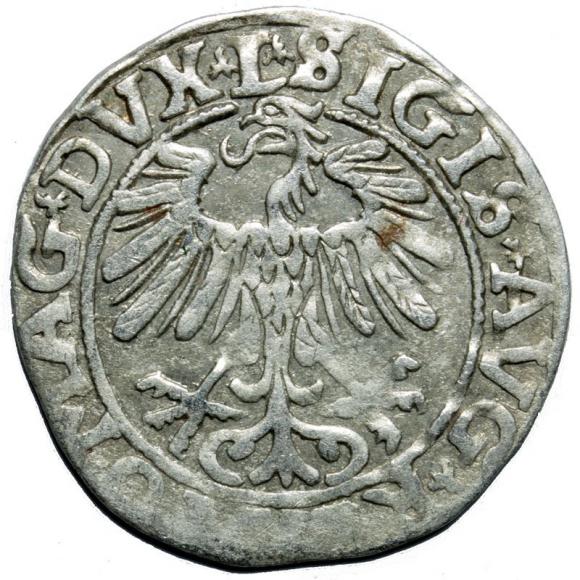 Half groschen 1557 Sigismund II Augustus Vilnius (2)