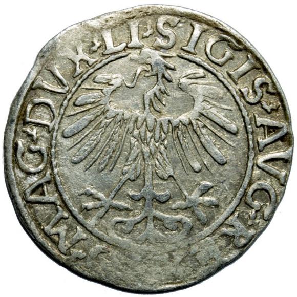Half groschen 1557 Sigismund II Augustus Vilnius (2)
