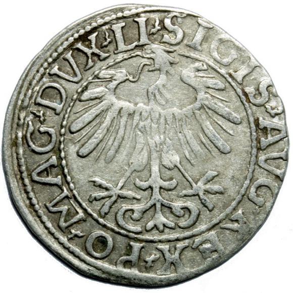 Half groschen 1557 Sigismund II Augustus Vilnius (2)
