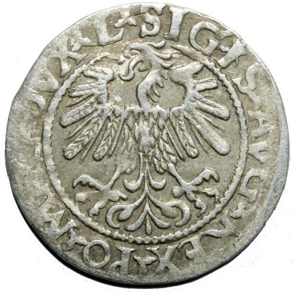Half groschen 1559 Sigismund II Augustus Vilnius (2)