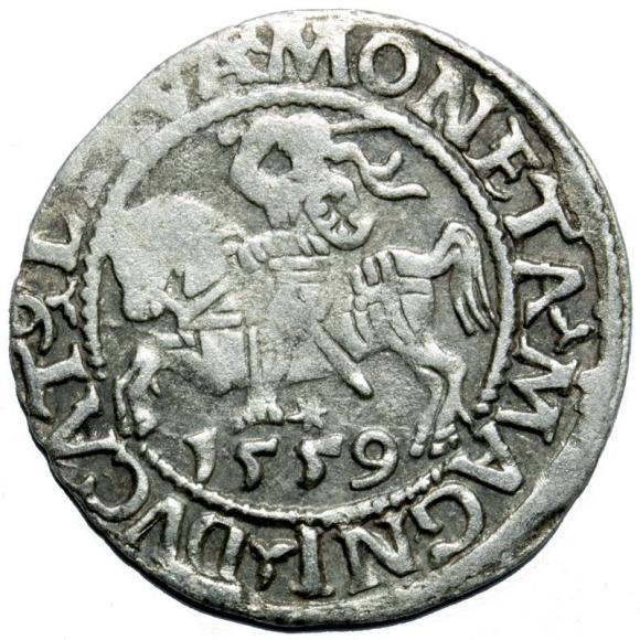 Half groschen 1559 Sigismund II Augustus Vilnius (1)