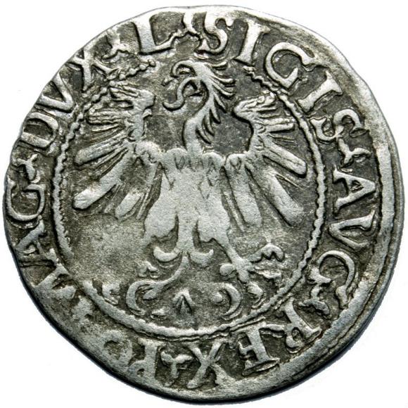 Half groschen 1559 Sigismund II Augustus Vilnius (2)