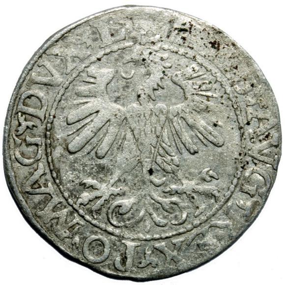 Half groschen 1560 Sigismund II Augustus Vilnius (2)