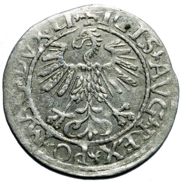 Half groschen 1561 Sigismund II Augustus Vilnius (2)
