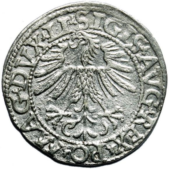 Half groschen 1562 Sigismund II Augustus Vilnius (2)