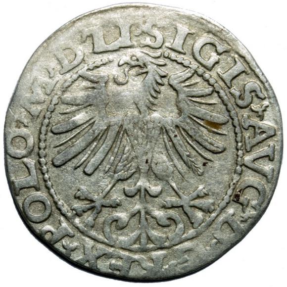 Half groschen 1563 Sigismund II Augustus Vilnius (2)