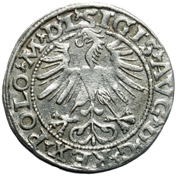 Half groschen 1563 Sigismund II Augustus Vilnius