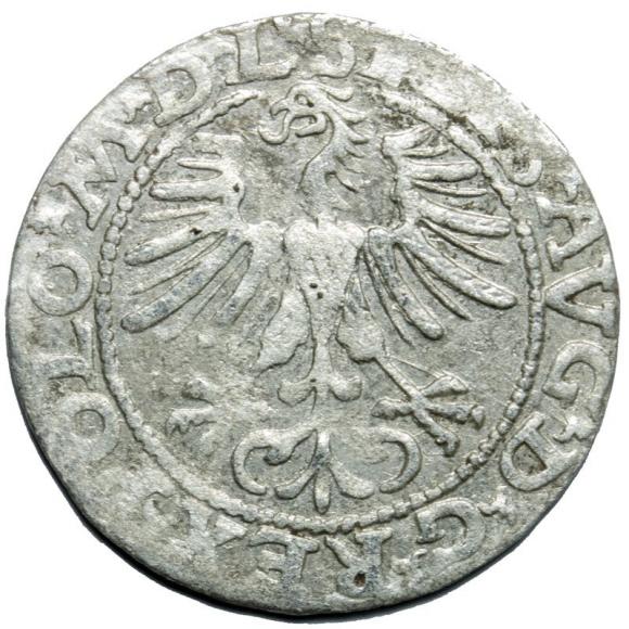 Half groschen 1564 Sigismund II Augustus Vilnius