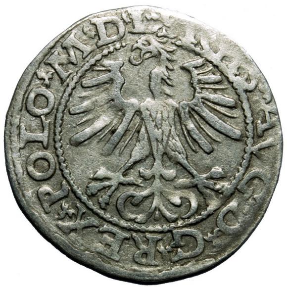 Half groschen 1564 Sigismund II Augustus Vilnius (2)