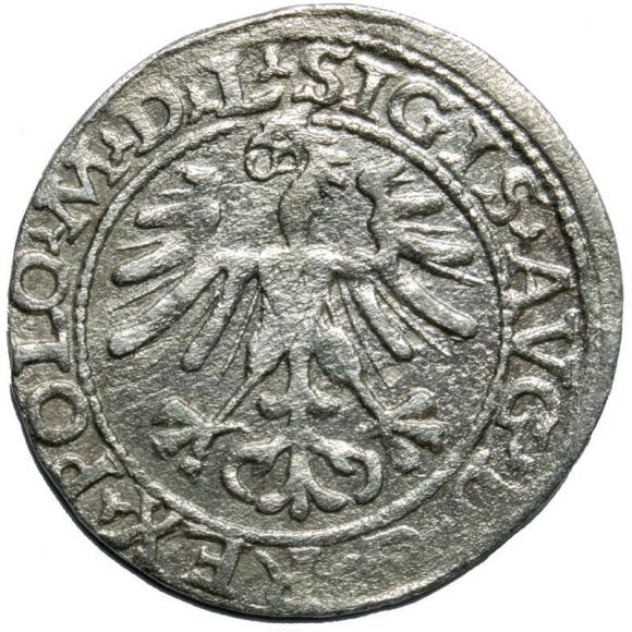 Half groschen 1564 Sigismund II Augustus Vilnius (2)