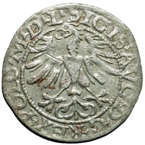 Half groschen 1565 Sigismund II Augustus Vilnius (2)