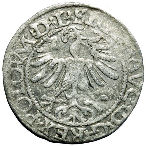 Half groschen 1565 Sigismund II Augustus Vilnius (2)