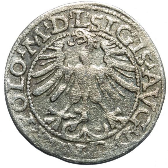 Half groschen 1565 Sigismund II Augustus Vilnius (2)