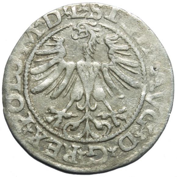 Half groschen 1565 Sigismund II Augustus Vilnius (2)