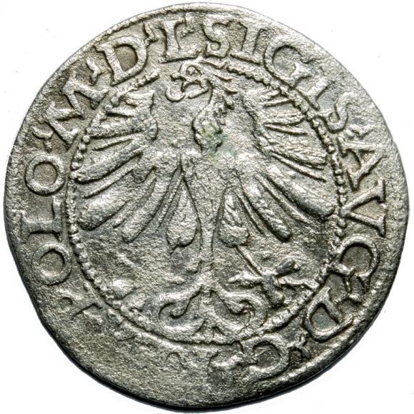 Half groschen 1565 Sigismund II Augustus Vilnius (2)