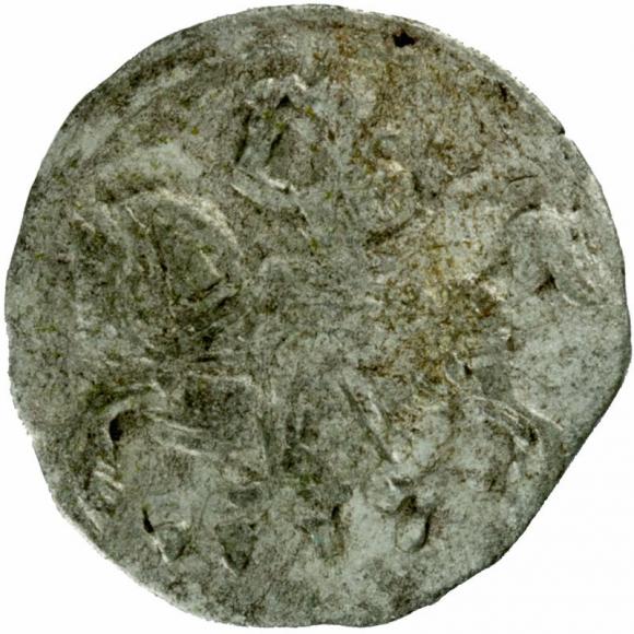 Denar 1557 Sigismund II Augustus Vilnius (1)