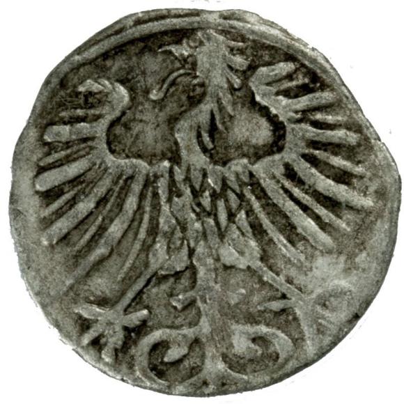 Denar 1557 Sigismund II Augustus Vilnius (2)