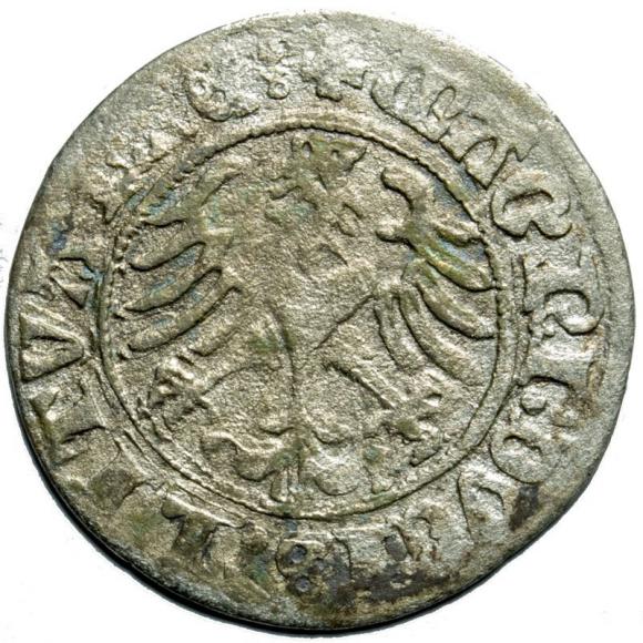Half groschen 1510 Sigismund I the Old Vilnius (2)