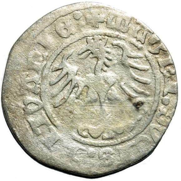 Half groschen 1513 Sigismund I the Old Vilnius (2)