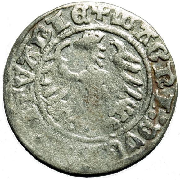 Half groschen 1514 Sigismund I the Old Vilnius (2)
