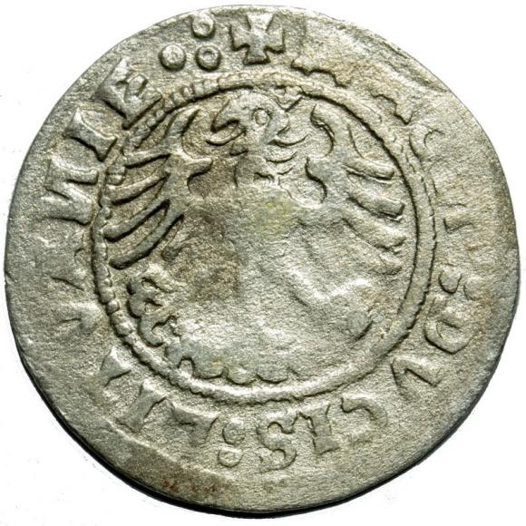 Half groschen 1519 Sigismund I the Old Vilnius (2)