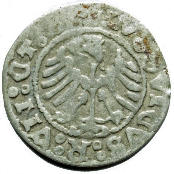 Half groschen Louis II of Hungary Swidnica (2)