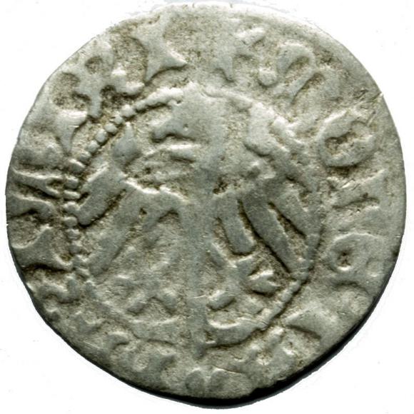 Half groschen Casimir IV Jagiellon Krakow (2)