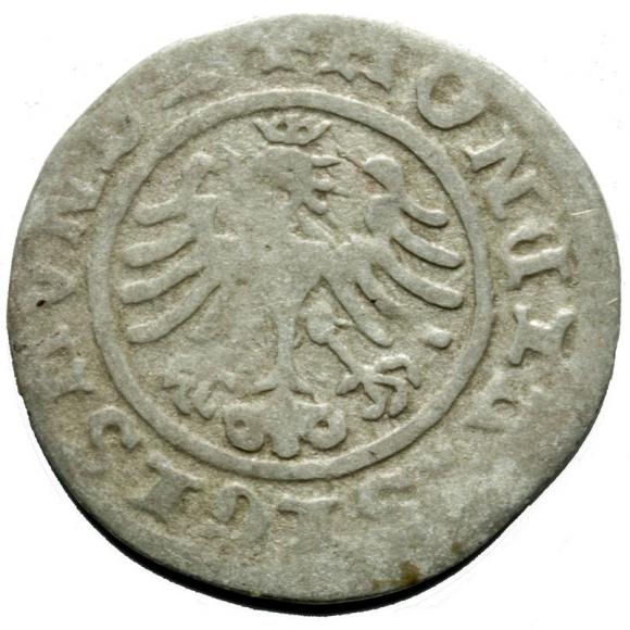 Half groschen Sigismund I the Old Krakow (2)