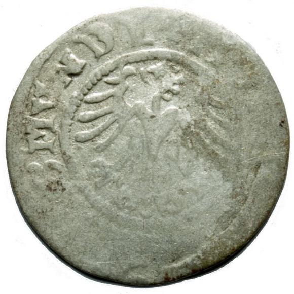 Half groschen Sigismund I the Old Krakow (2)