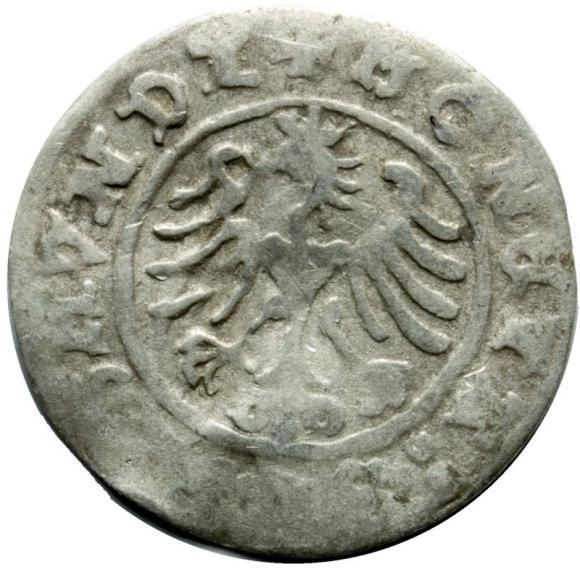 Half groschen 1507 Sigismund I the Old Krakow (2)