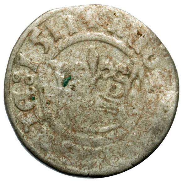 Half groschen 1511 Sigismund I the Old Krakow (1)