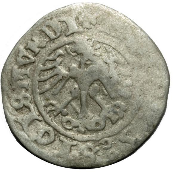 Half groschen 1511 Sigismund I the Old Krakow (2)