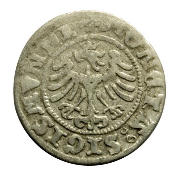 Half groschen 1507 Sigismund I the Old Krakow (2)