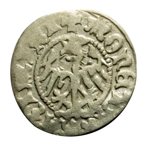 Half groschen Casimir IV Jagiellon Krakow (2)