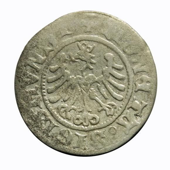 Half groschen 1507 Sigismund I the Old Krakow (1)