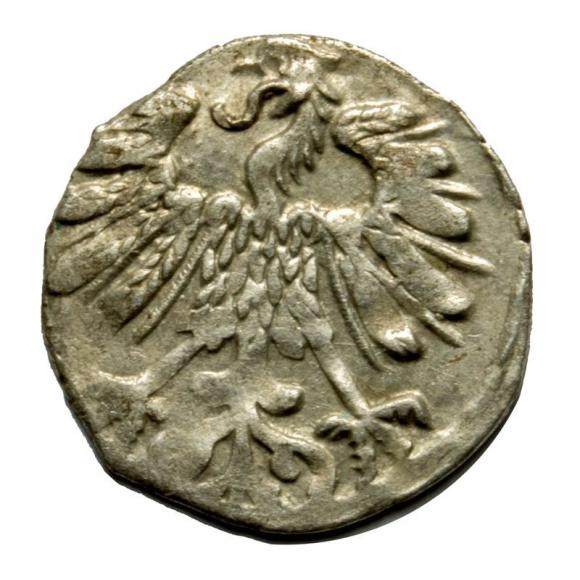 Denar Sigismund II Augustus Vilnius (2)